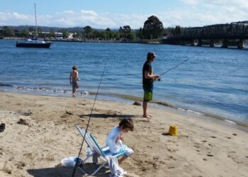 Key Recreational Fish Species Survey – ARFF needs your help